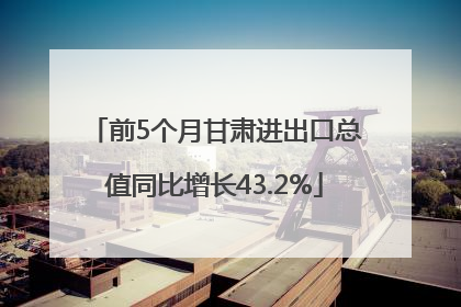 前5个月甘肃进出口总值同比增长43.2%