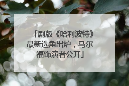 剧版《哈利波特》最新选角出炉，马尔福饰演者公开