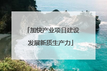 加快产业项目建设 发展新质生产力