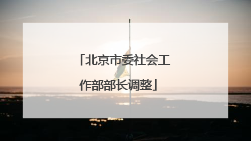 北京市委社会工作部部长调整