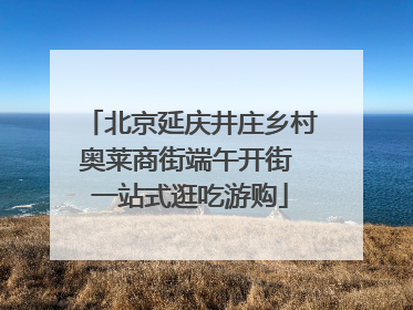 北京延庆井庄乡村奥莱商街端午开街 一站式逛吃游购