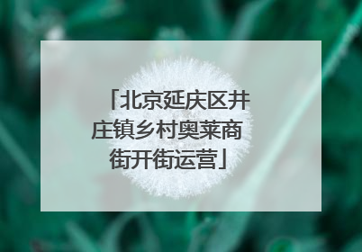 北京延庆区井庄镇乡村奥莱商街开街运营