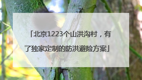 北京1223个山洪沟村，有了独家定制的防洪避险方案