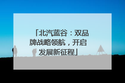 北汽蓝谷：双品牌战略领航，开启发展新征程