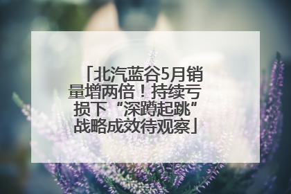 北汽蓝谷5月销量增两倍！持续亏损下“深蹲起跳”战略成效待观察