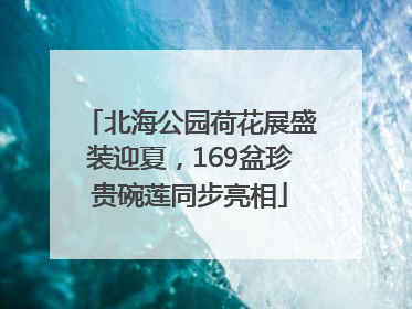 北海公园荷花展盛装迎夏，169盆珍贵碗莲同步亮相
