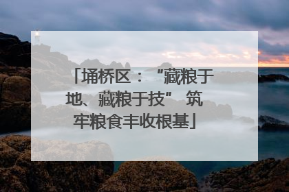 埇桥区：“藏粮于地、藏粮于技” 筑牢粮食丰收根基