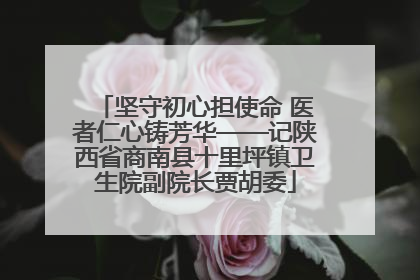 坚守初心担使命 医者仁心铸芳华——记陕西省商南县十里坪镇卫生院副院长贾胡委