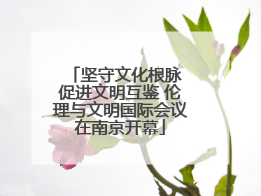 坚守文化根脉 促进文明互鉴 伦理与文明国际会议在南京开幕