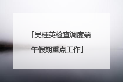 吴桂英检查调度端午假期重点工作