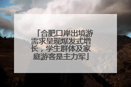 合肥口岸出境游需求呈现爆发式增长，学生群体及家庭游客是主力军
