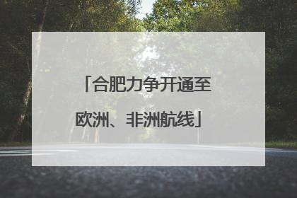合肥力争开通至欧洲、非洲航线
