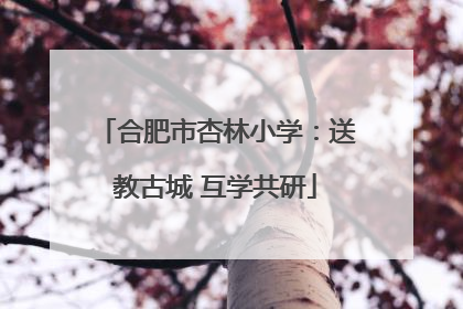 合肥市杏林小学：送教古城 互学共研