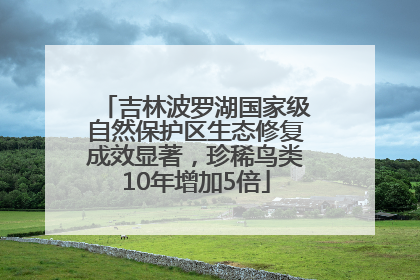 吉林波罗湖国家级自然保护区生态修复成效显著，珍稀鸟类10年增加5倍