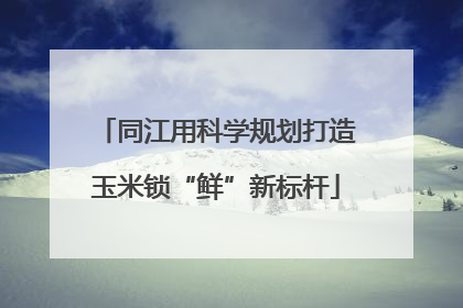同江用科学规划打造玉米锁“鲜”新标杆