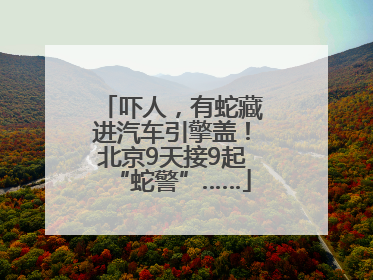吓人，有蛇藏进汽车引擎盖！北京9天接9起“蛇警”……