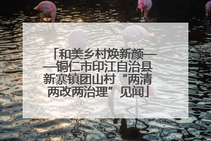 和美乡村焕新颜——铜仁市印江自治县新寨镇团山村“两清两改两治理”见闻