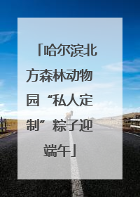 哈尔滨北方森林动物园“私人定制”粽子迎端午