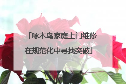 啄木鸟家庭上门维修在规范化中寻找突破