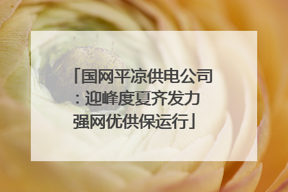 国网平凉供电公司：迎峰度夏齐发力 强网优供保运行