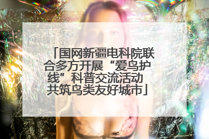 国网新疆电科院联合多方开展“爱鸟护线”科普交流活动 共筑鸟类友好城市