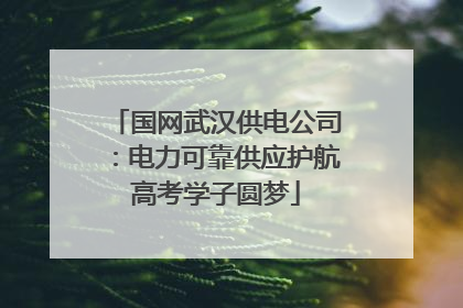 国网武汉供电公司：电力可靠供应护航高考学子圆梦
