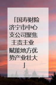 国寿财险济宁市中心支公司聚焦主责主业 赋能地方优势产业壮大