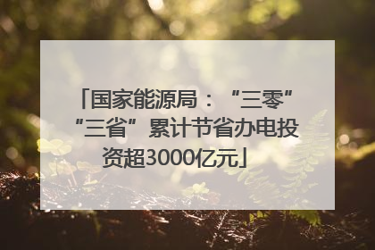 国家能源局：“三零”“三省”累计节省办电投资超3000亿元