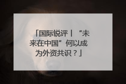 国际锐评丨“未来在中国”何以成为外资共识？