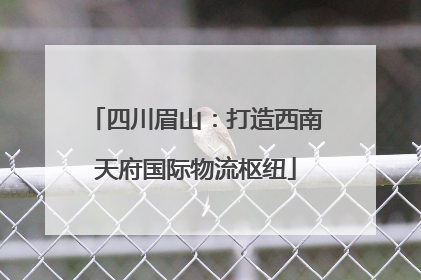 四川眉山：打造西南天府国际物流枢纽