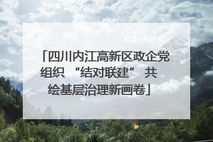 四川内江高新区政企党组织 “结对联建” 共绘基层治理新画卷