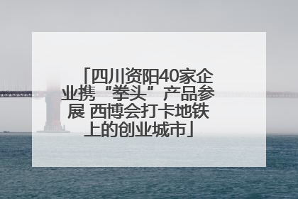 四川资阳40家企业携“拳头”产品参展 西博会打卡地铁上的创业城市