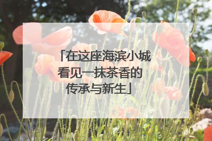 在这座海滨小城 看见一抹茶香的传承与新生