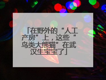 在野外的“人工产房”上，这些“鸟类大熊猫”在武汉生宝宝了