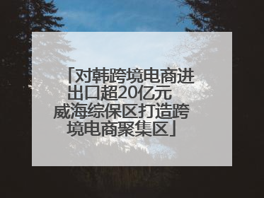 对韩跨境电商进出口超20亿元 威海综保区打造跨境电商聚集区