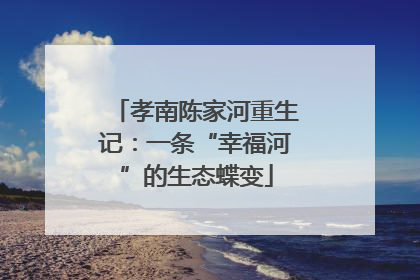 孝南陈家河重生记：一条“幸福河”的生态蝶变