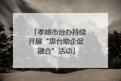 孝感市台办持续开展“惠台助企促融合”活动
