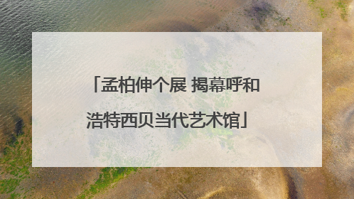孟柏伸个展 揭幕呼和浩特西贝当代艺术馆
