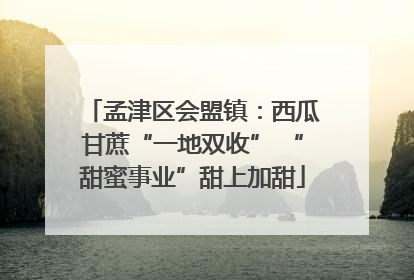 孟津区会盟镇：西瓜甘蔗“一地双收” “甜蜜事业”甜上加甜
