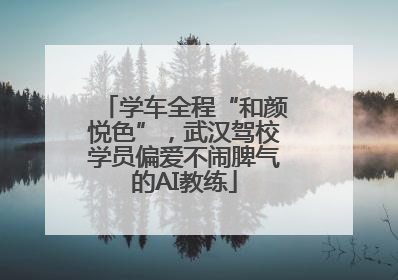 学车全程“和颜悦色”，武汉驾校学员偏爱不闹脾气的AI教练