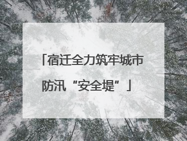 宿迁全力筑牢城市防汛“安全堤”
