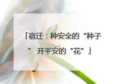 宿迁：种安全的“种子” 开平安的“花”