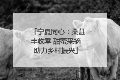 宁夏同心：桑葚丰收季 甜蜜采摘助力乡村振兴