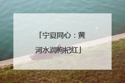 宁夏同心：黄河水润枸杞红