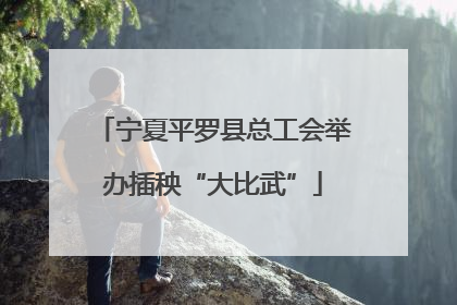 宁夏平罗县总工会举办插秧“大比武”
