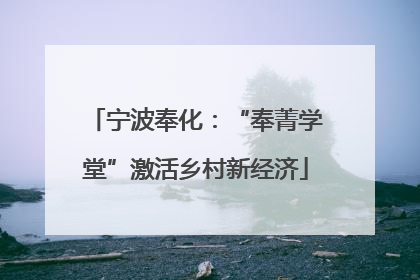 宁波奉化：“奉菁学堂”激活乡村新经济