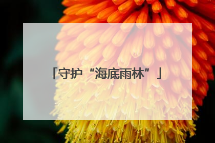 守护“海底雨林”