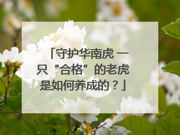 守护华南虎 一只“合格”的老虎是如何养成的？
