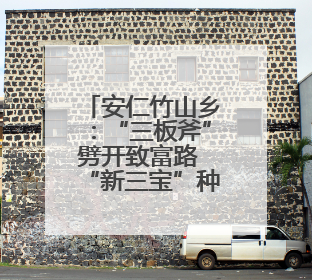 安仁竹山乡：“三板斧”劈开致富路 “新三宝”种出好“钱”景