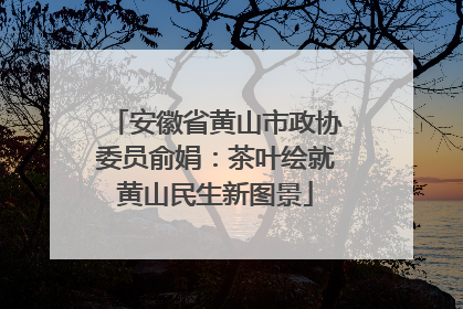 安徽省黄山市政协委员俞娟：茶叶绘就黄山民生新图景
